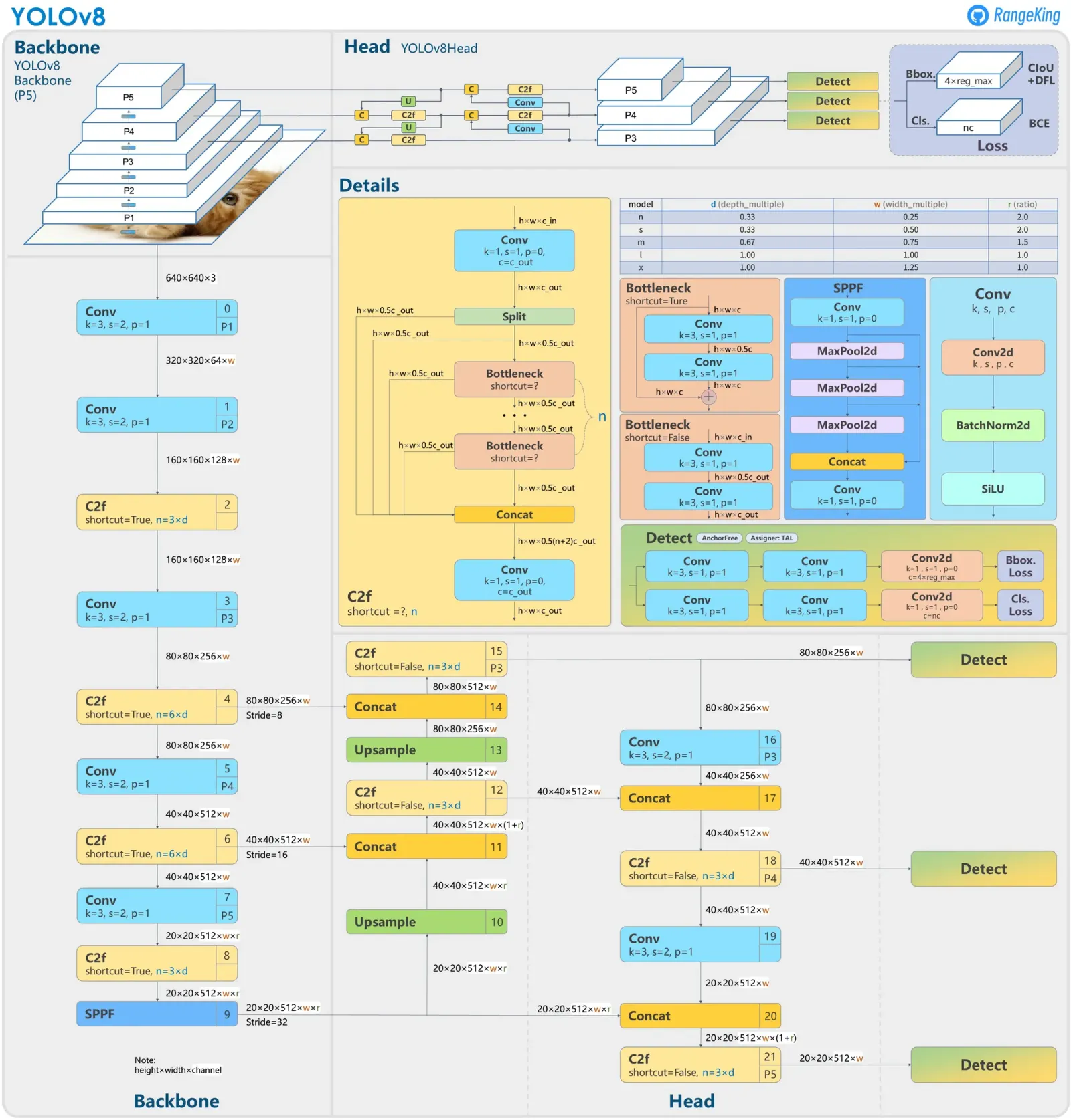 YOLOv8 Architecture